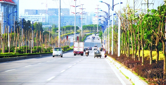 石獅市學(xué)府路綜合提升改造工程