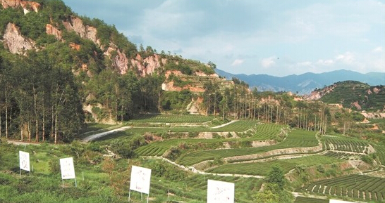 安溪縣官橋龍門花崗巖礦山地質(zhì)治理工程